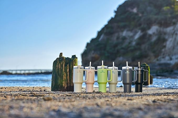 Tumbler with Lid and Straw for Water, Iced Tea or Coffee